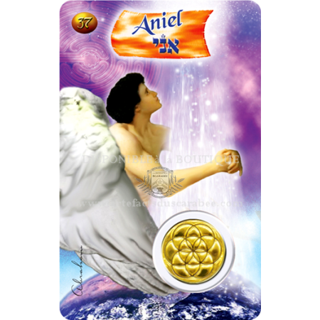 A37- Carte Ange de Naissance ANIEL (24-28 Sept.) +Médaille A37- Carte Ange de Naissance ANIEL (24-28 Sept.) +Médaille