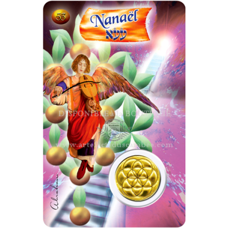 A53- Carte Ange de Naissance NANAËL (13-16 Décembre) + Médaille A53- Carte Ange de Naissance NANAËL (13-16 Décembre) + Médaille