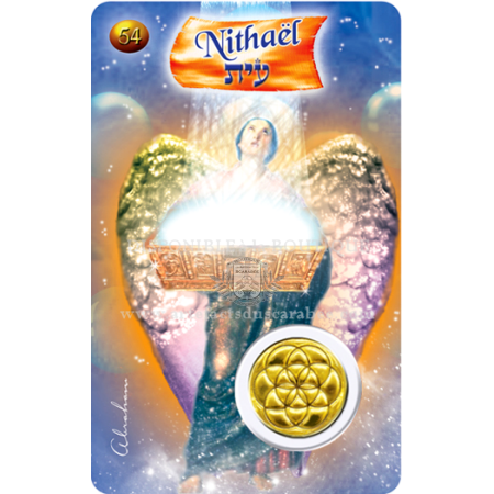 A54- Carte Ange de Naissance NITHAËL (17-21 Décembre) + Médaille A54- Carte Ange de Naissance NITHAËL (17-21 Décembre) + Médaille