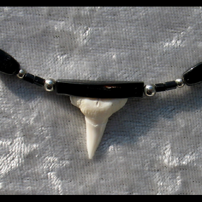 Collier Dent de Requin mont�e sur Corail Noir - (Protection)