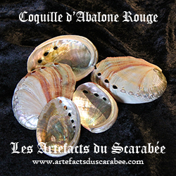 D- Petite Coquille d'Ormeau (Abalone Rouge) Fumigation-Offrande
