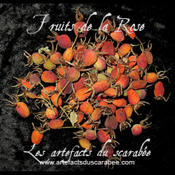 H- Fruits de la Rose (Amour, Prières & Guérison)