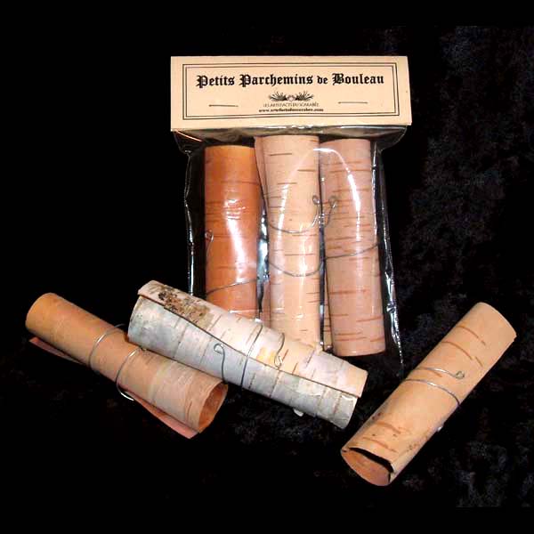Petits Parchemins de Bouleau (Arbre de la Sagesse)