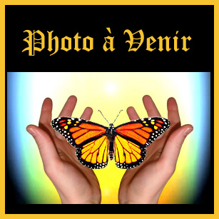 Parchemin des Propri�t�s �nerg�tiques de la Bague