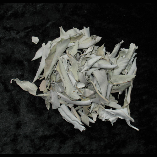 H- Sauge Blanche (Salvia Alpina) - Protection-Purification